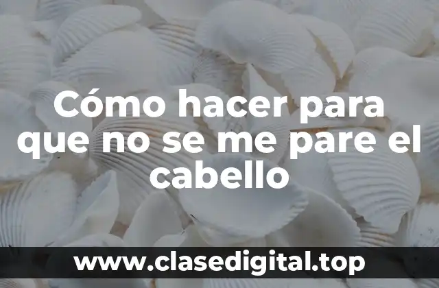 Cómo hacer para que no se me pare el cabello