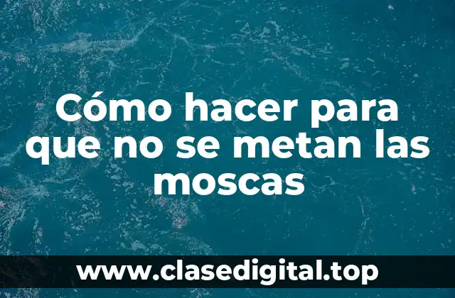 Cómo hacer para que no se metan las moscas