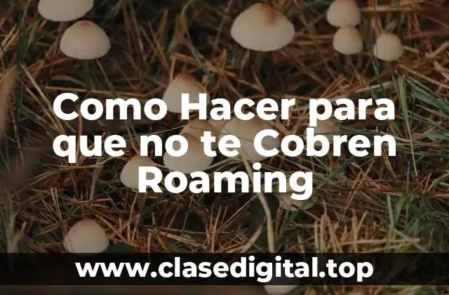 Como Hacer para que no te Cobren Roaming