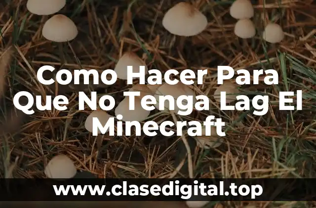 Como Hacer Para Que No Tenga Lag El Minecraft