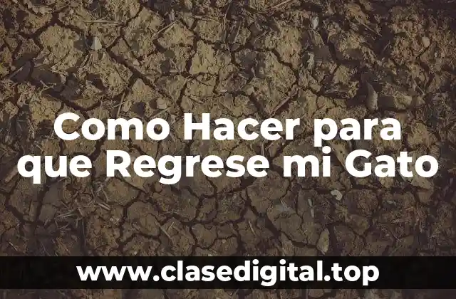 Como Hacer para que Regrese mi Gato