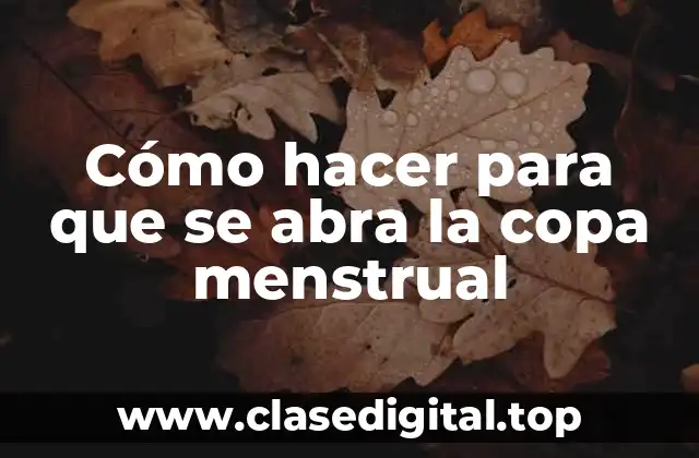 ¿Qué es una copa menstrual y cómo se usa?