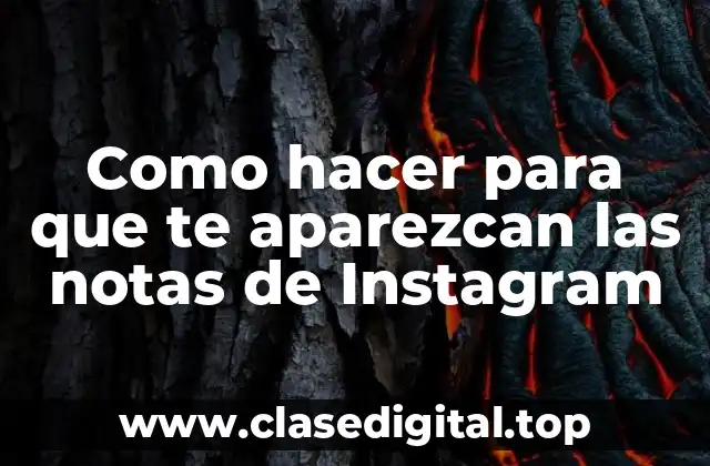 ¿Qué son las notas de Instagram y para qué sirven?