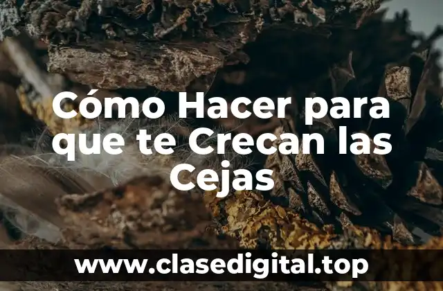 Cómo Hacer para que te Crecan las Cejas