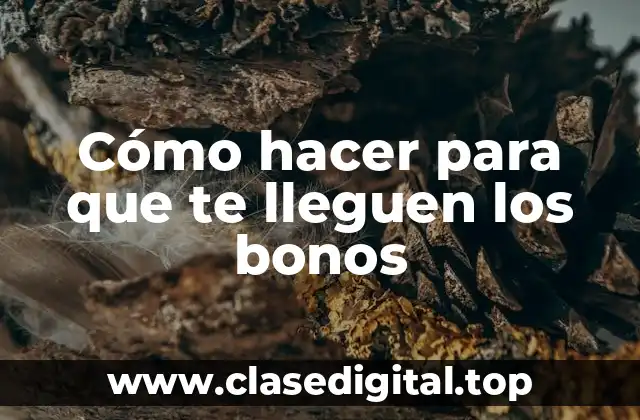 Cómo hacer para que te lleguen los bonos