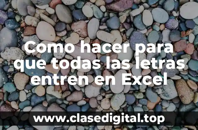 Como hacer para que todas las letras entren en Excel