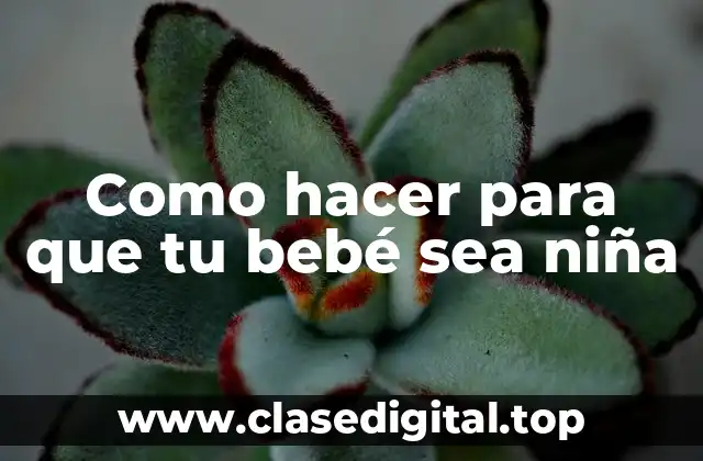 Como hacer para que tu bebé sea niña