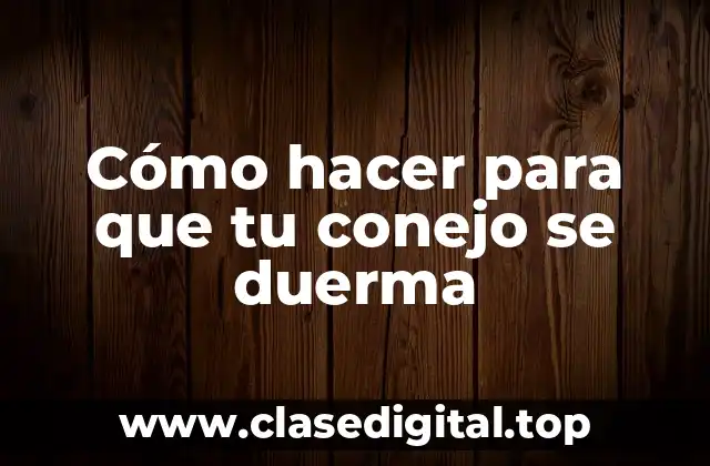 Cómo hacer para que tu conejo se duerma