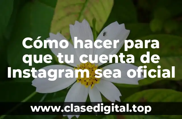 Cómo hacer para que tu cuenta de Instagram sea oficial