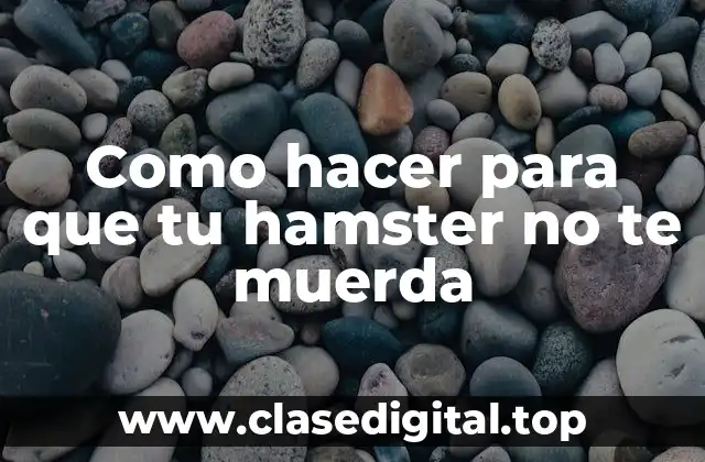 Comprendiendo a los hamsters