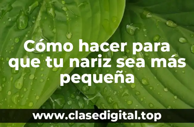 Cómo hacer para que tu nariz sea más pequeña