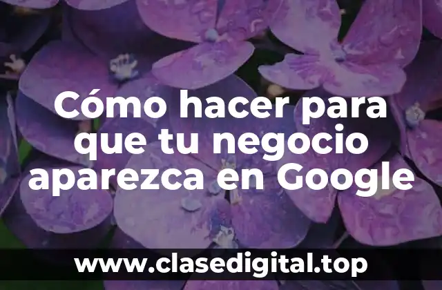Cómo hacer para que tu negocio aparezca en Google