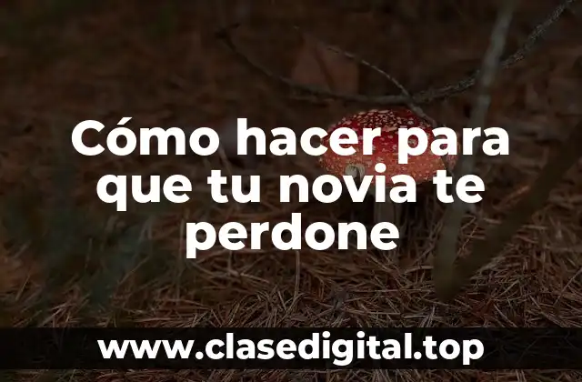 Cómo hacer para que tu novia te perdone