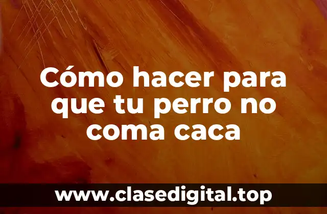 Cómo hacer para que tu perro no coma caca