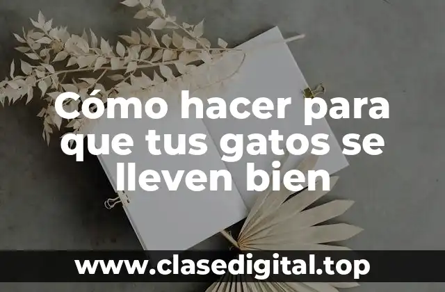 Cómo hacer para que tus gatos se lleven bien