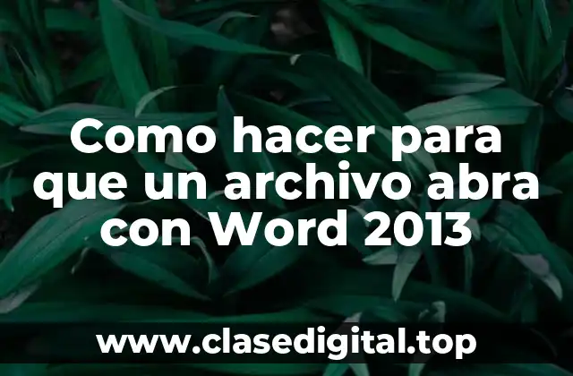 Como hacer para que un archivo abra con Word 2013