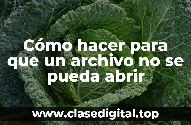 Cómo hacer para que un archivo no se pueda abrir