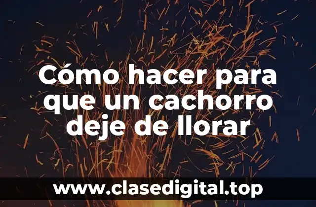 Cómo hacer para que un cachorro deje de llorar