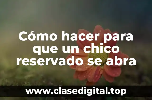 Cómo hacer para que un chico reservado se abra