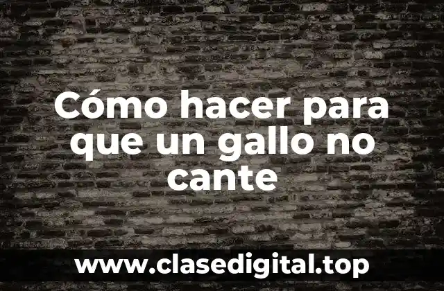 Cómo hacer para que un gallo no cante