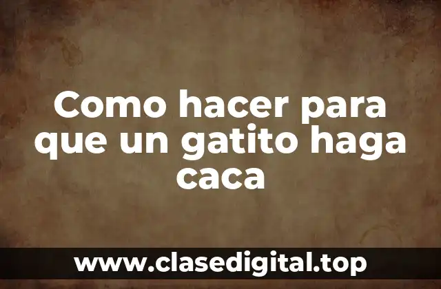 ¿Qué es la caja de arena para gatitos y para qué sirve?