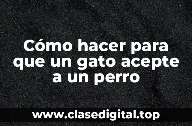 Cómo hacer para que un gato acepte a un perro
