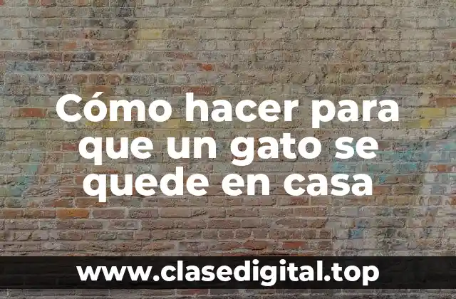 Cómo hacer para que un gato se quede en casa