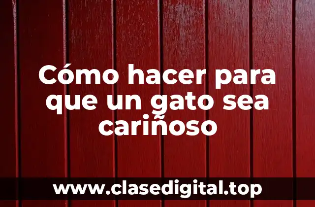 Cómo hacer para que un gato sea cariñoso