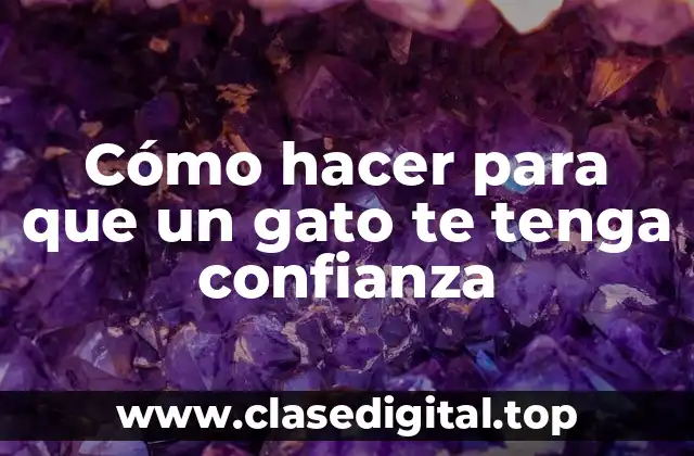 Cómo hacer para que un gato te tenga confianza