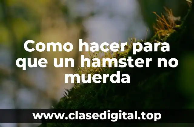 Como hacer para que un hamster no muerda