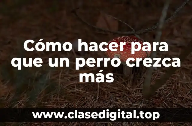 Cómo hacer para que un perro crezca más