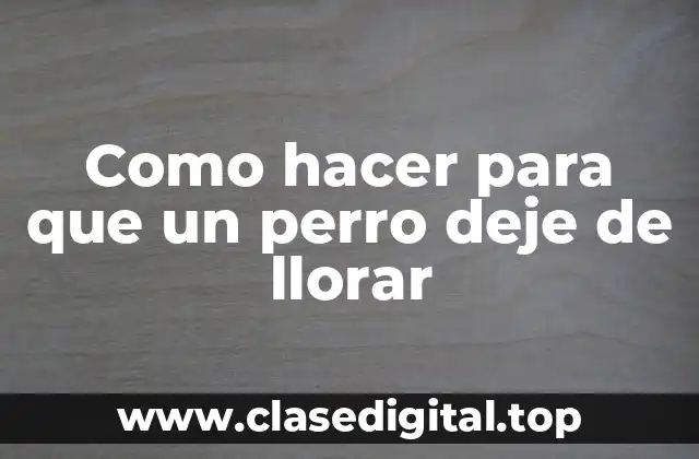 Como hacer para que un perro deje de llorar