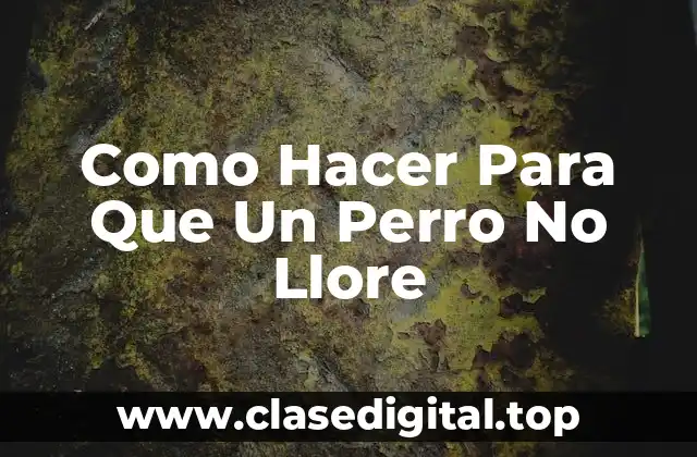 Como Hacer Para Que Un Perro No Llore