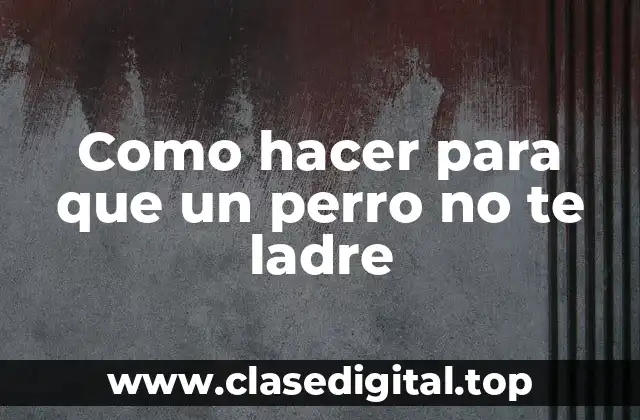 Como hacer para que un perro no te ladre