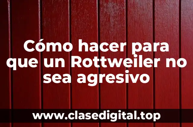 Cómo hacer para que un Rottweiler no sea agresivo