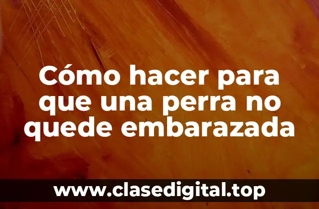 Cómo hacer para que una perra no quede embarazada