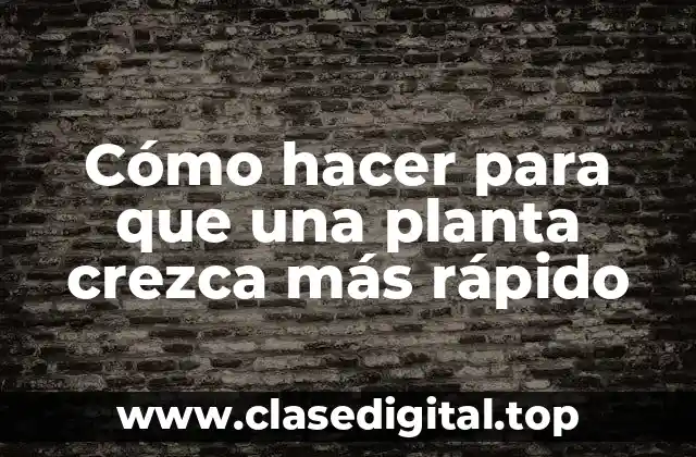 Cómo hacer para que una planta crezca más rápido