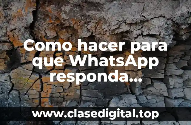 ¿Qué son las respuestas automáticas en WhatsApp y para qué sirven?