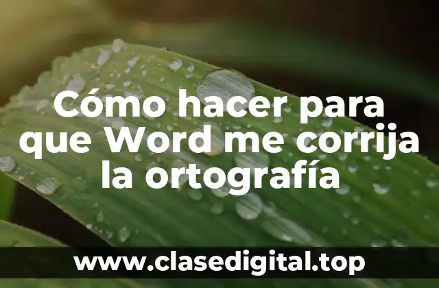Cómo hacer para que Word me corrija la ortografía