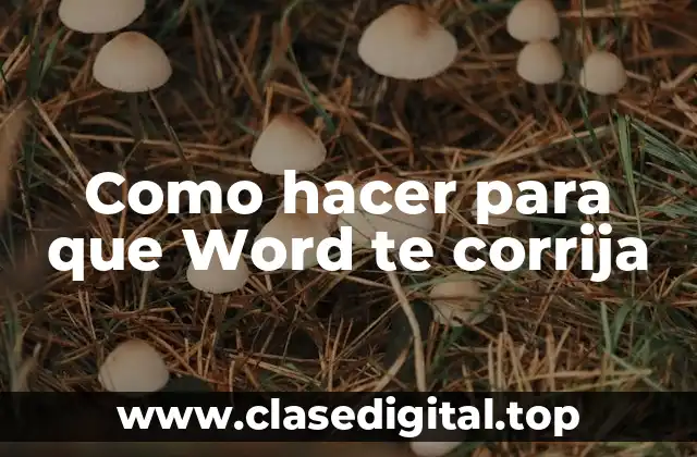 Como hacer para que Word te corrija