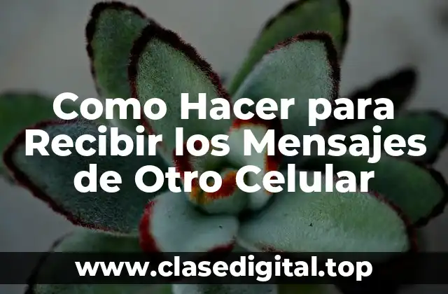 Como Hacer para Recibir los Mensajes de Otro Celular