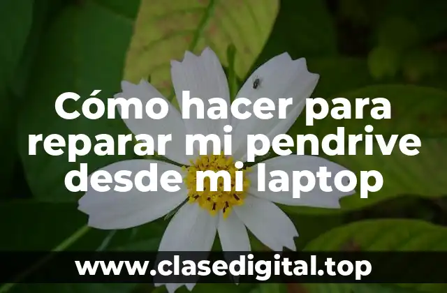 Cómo hacer para reparar mi pendrive desde mi laptop