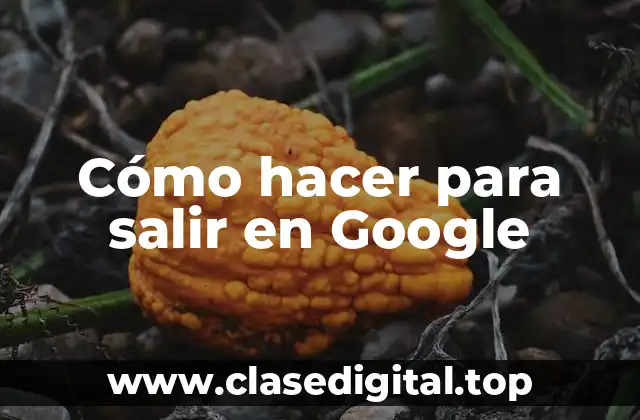 Cómo hacer para salir en Google