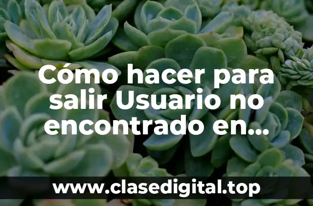 Cómo hacer para salir Usuario no encontrado en Instagram