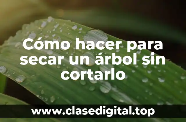 Cómo hacer para secar un árbol sin cortarlo