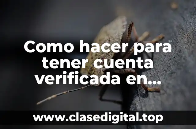Como hacer para tener cuenta verificada en Instagram