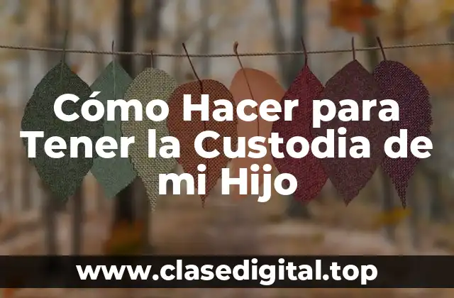 Cómo Hacer para Tener la Custodia de mi Hijo
