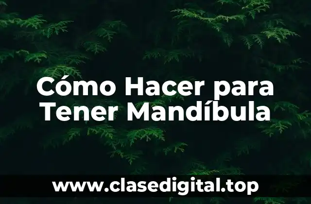 ¿Qué es la Mandíbula y para qué Sirve?