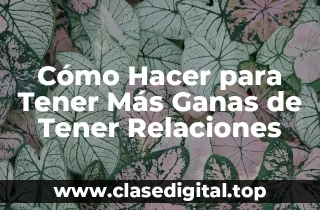 ¿Qué es la Libido y por qué es Importante en una Relación?