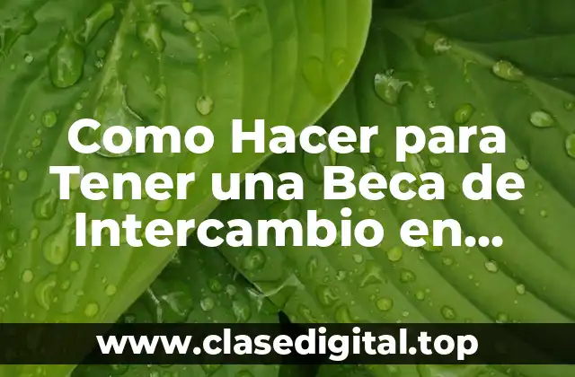 Como Hacer para Tener una Beca de Intercambio en Panamá